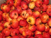Райские яблочки - самое красивое варенье :)