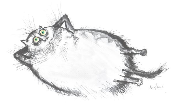 cat by Ronald Searle